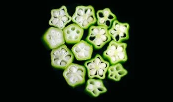 Okra