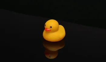 A rubber duck